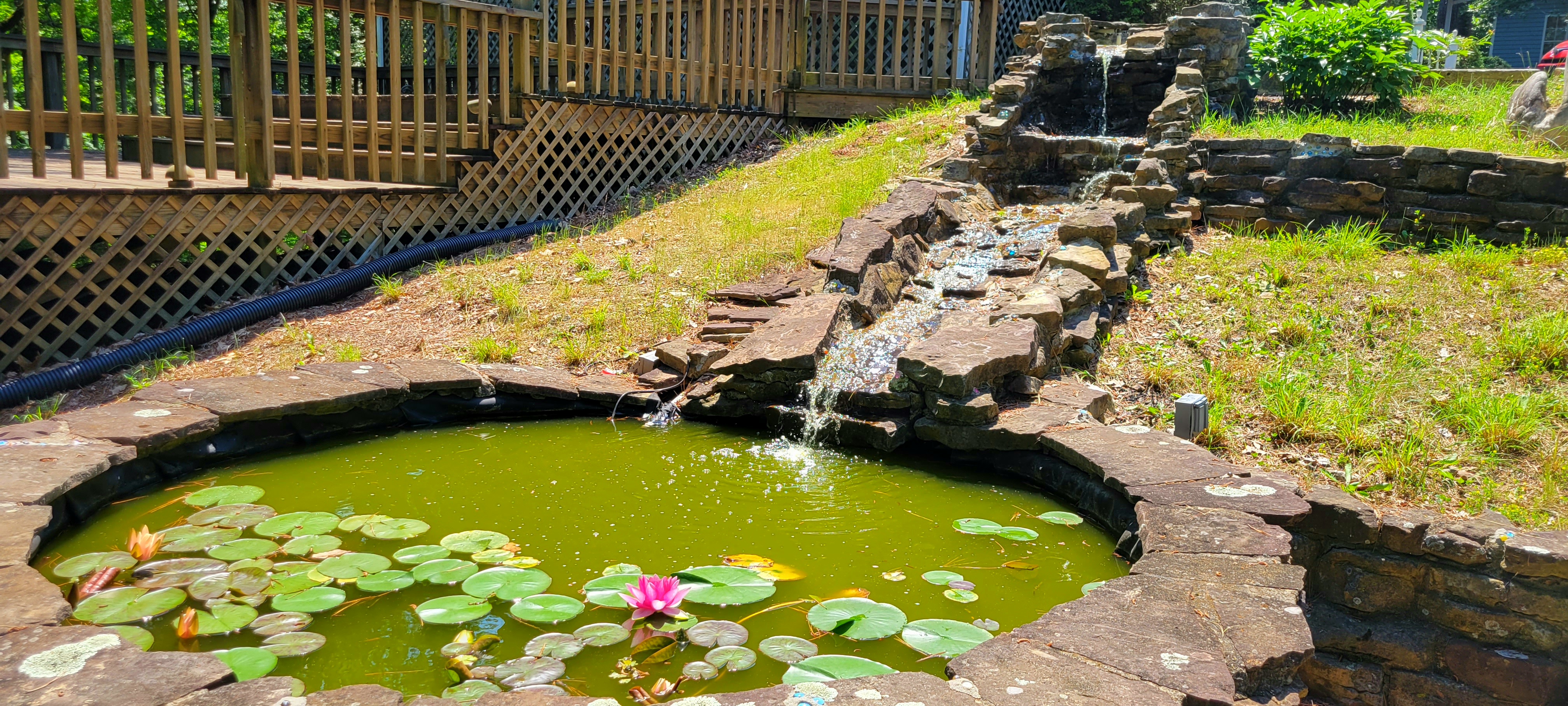 Garden pond with lily pads and a pink lotus flower in the foreground. A waterfall cascades down stone steps into the clear pond, surrounded by greenery.